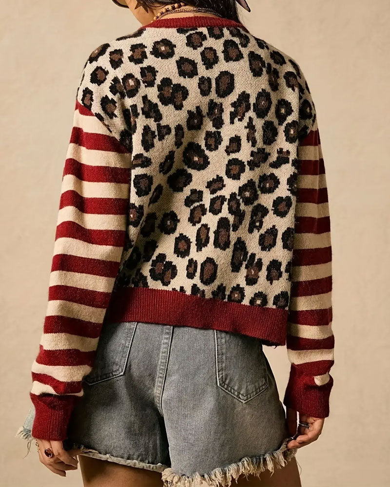 Cardigan Rayure Léopard Blocs De Couleurs Boutonné