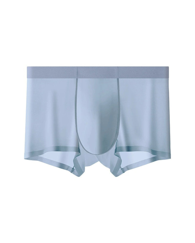 Sous-Vêtements Homme Soie De Glace